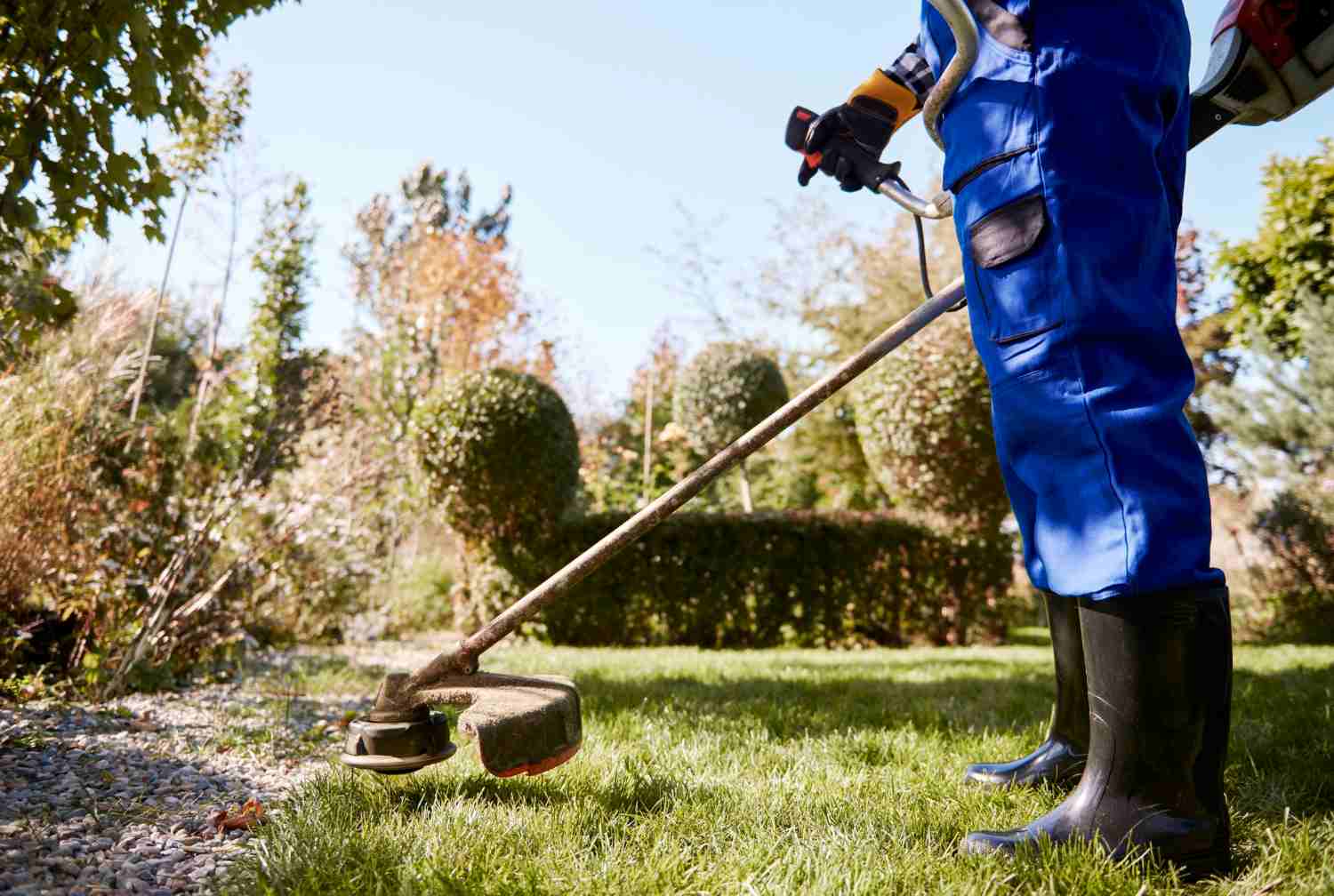 Seasonal Landscaping: Why Spring is the Best Time to Plan Your Garden Projects