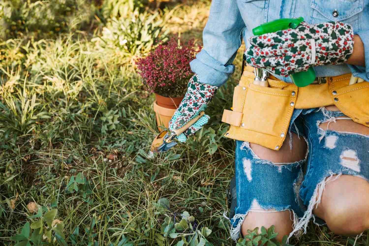 Aeration and Overseeding: The Professional Approach to Lush Lawns