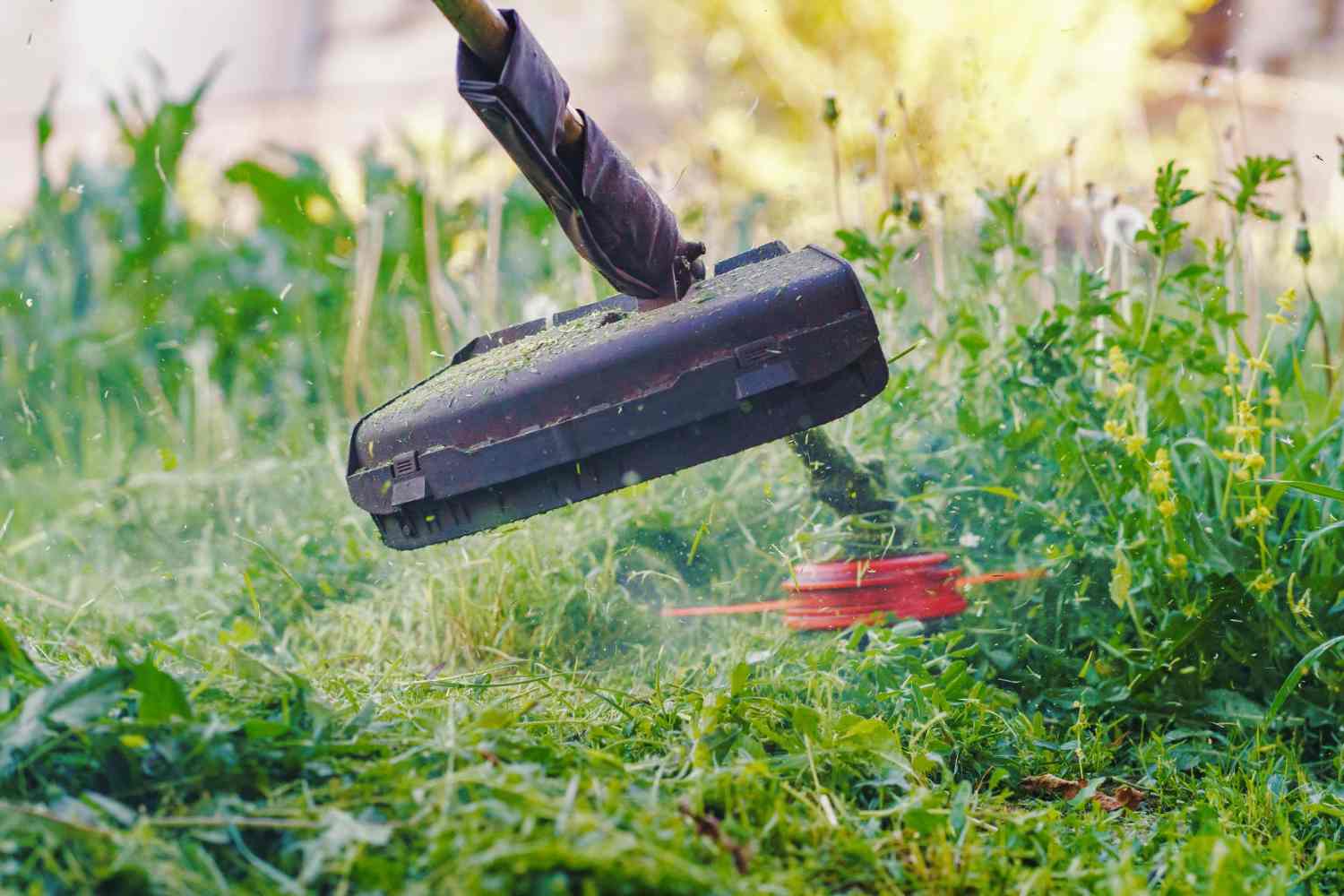 Spring Lawn Cleanup: Why It’s More Than Just Raking Leaves