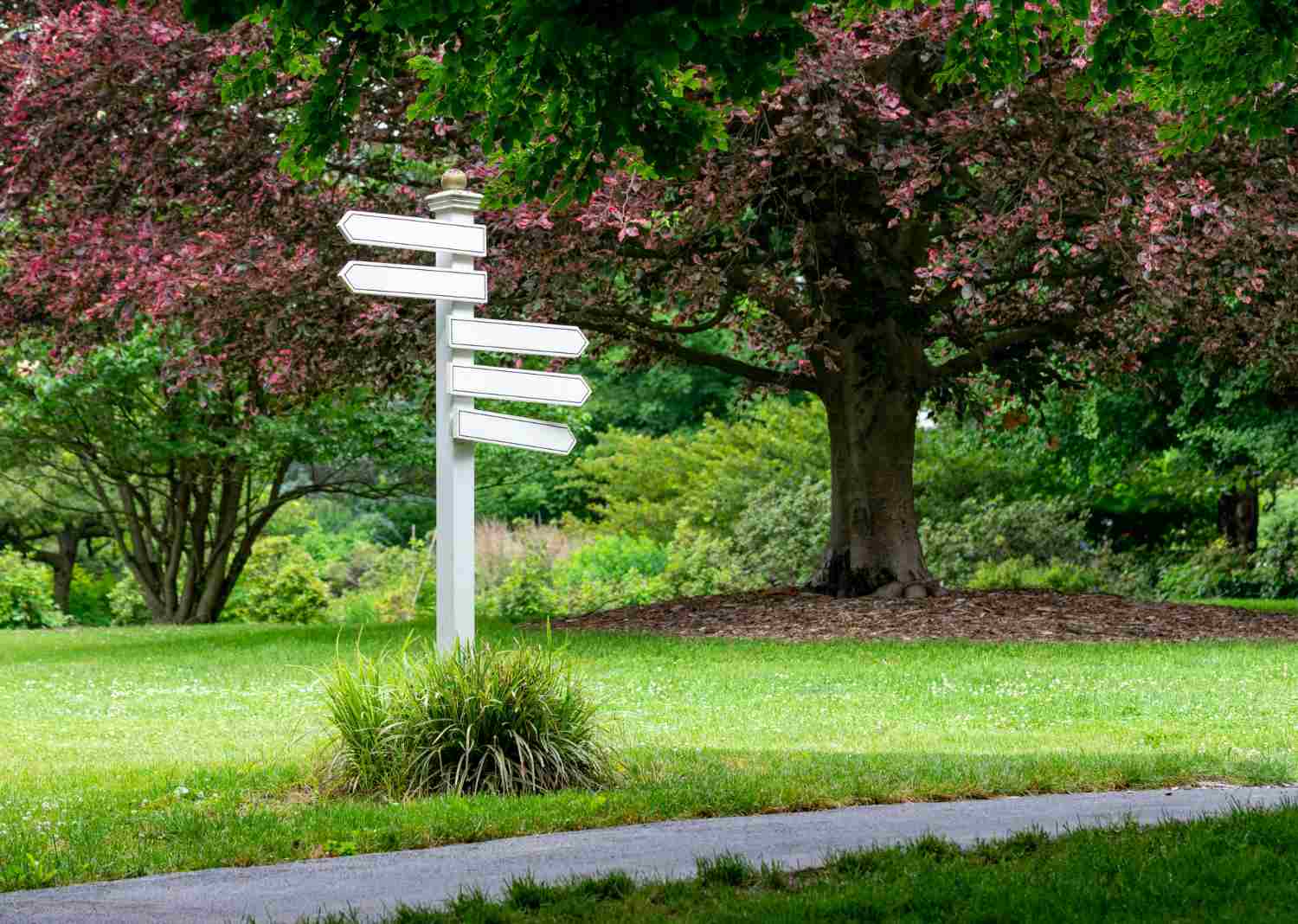Why Local Landscaping Experts Understand Your Property Better Than Big Chains