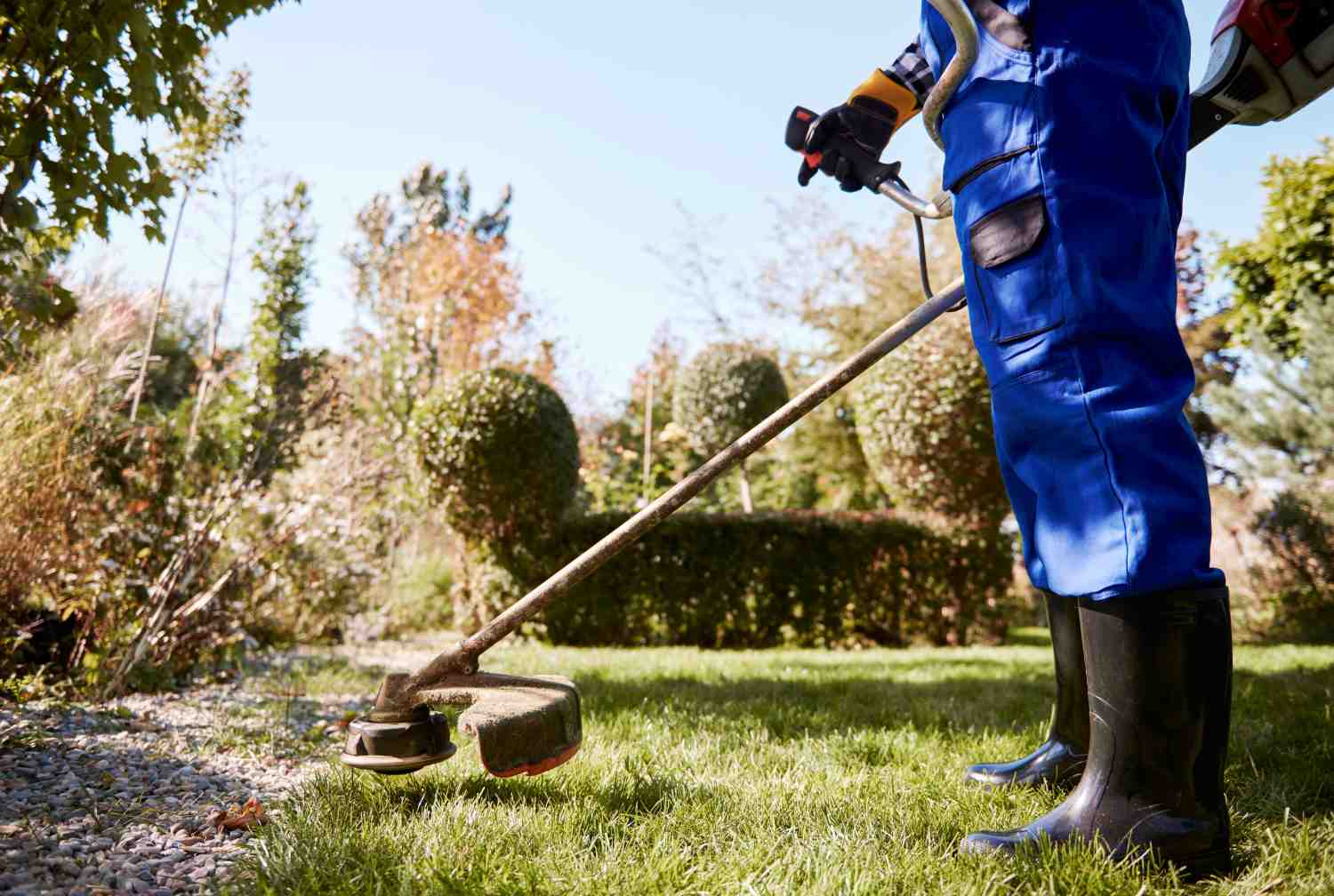 How Professional Lawn Maintenance Enhances Property Value