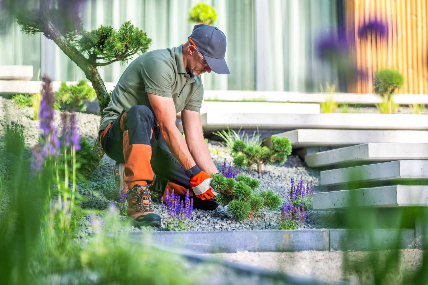 Why Hiring Professional Landscape Services Saves Time and Money