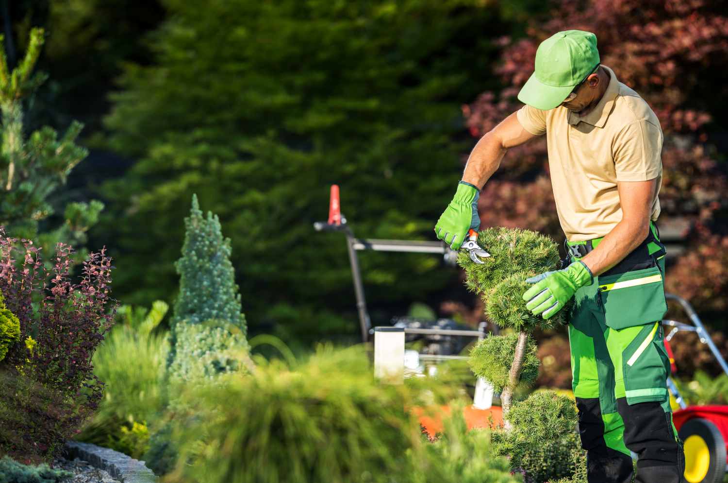 Professional Landscaping Tips for Creating Backyard Entertainment Spaces
