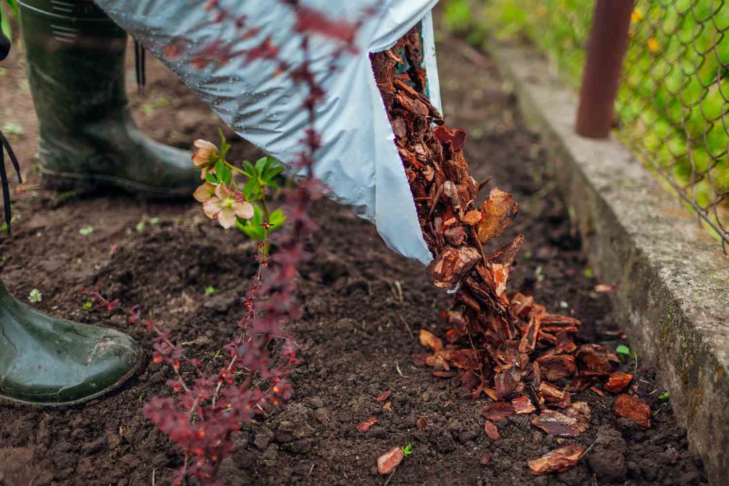 Protect Your Plants: How Pros Handle Mulching Before Winter