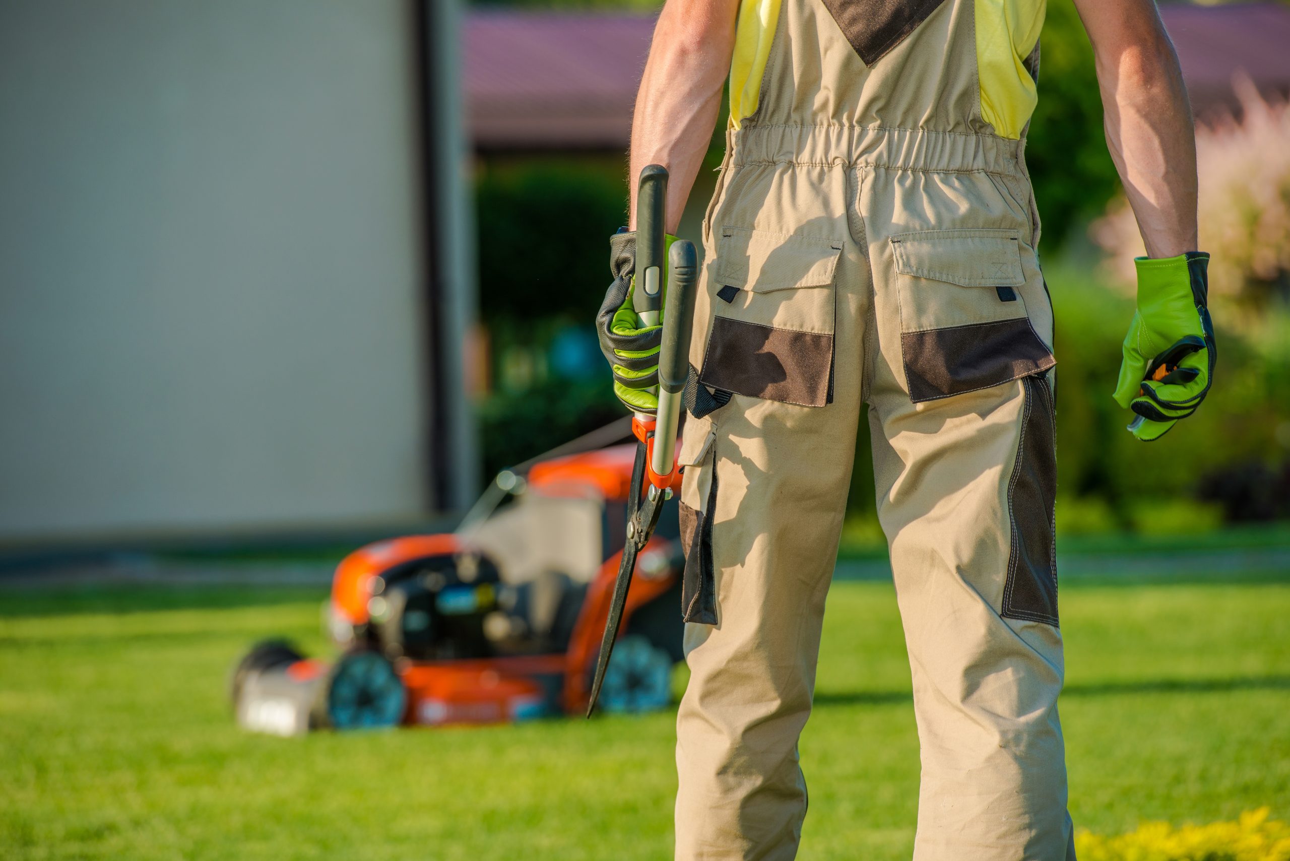 How Does Professional Lawn Care Improve Long-Term Property Health in Ontario?