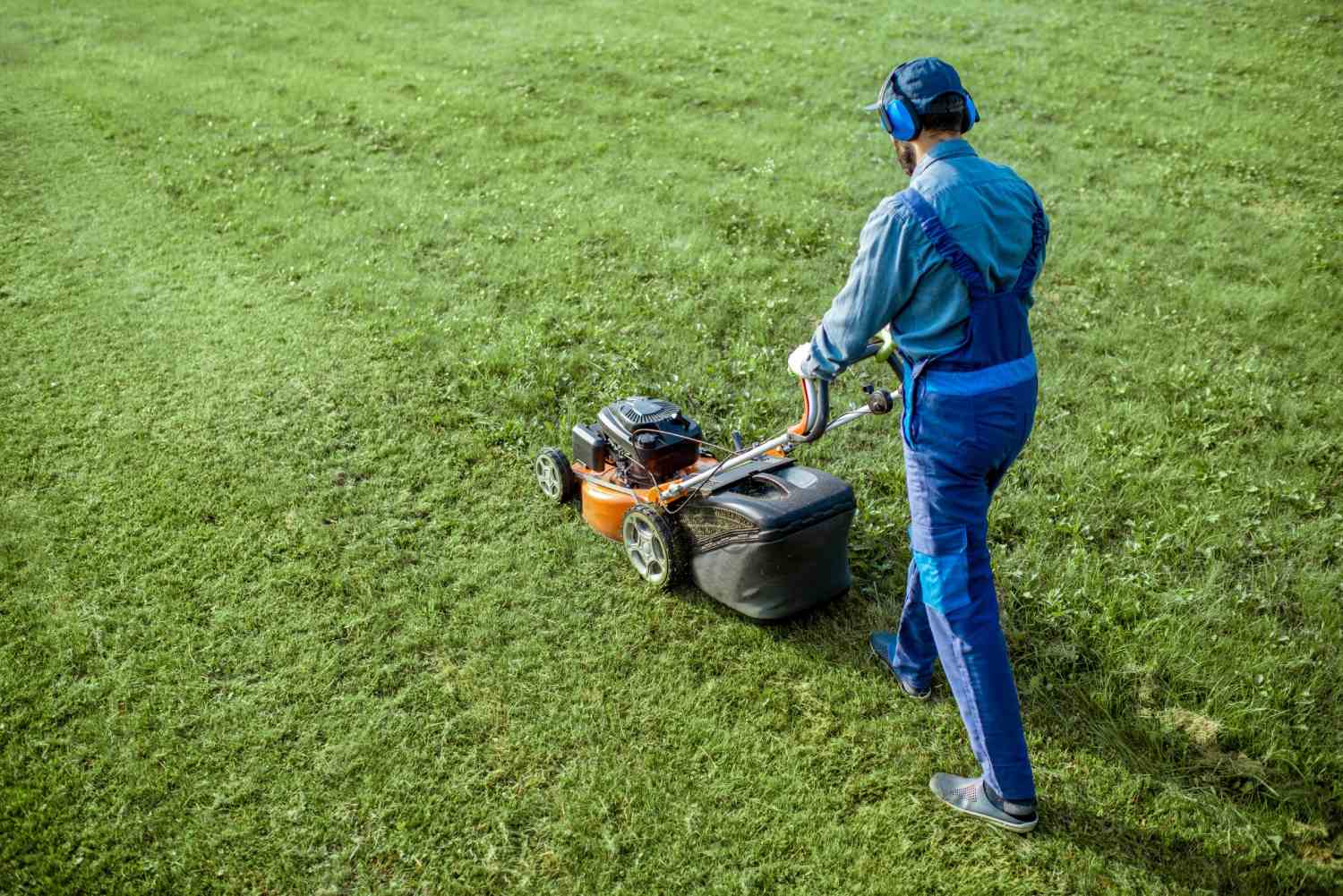 Why Do Ontario Property Owners Choose Professional Landscaping Services Over Seasonal Help?