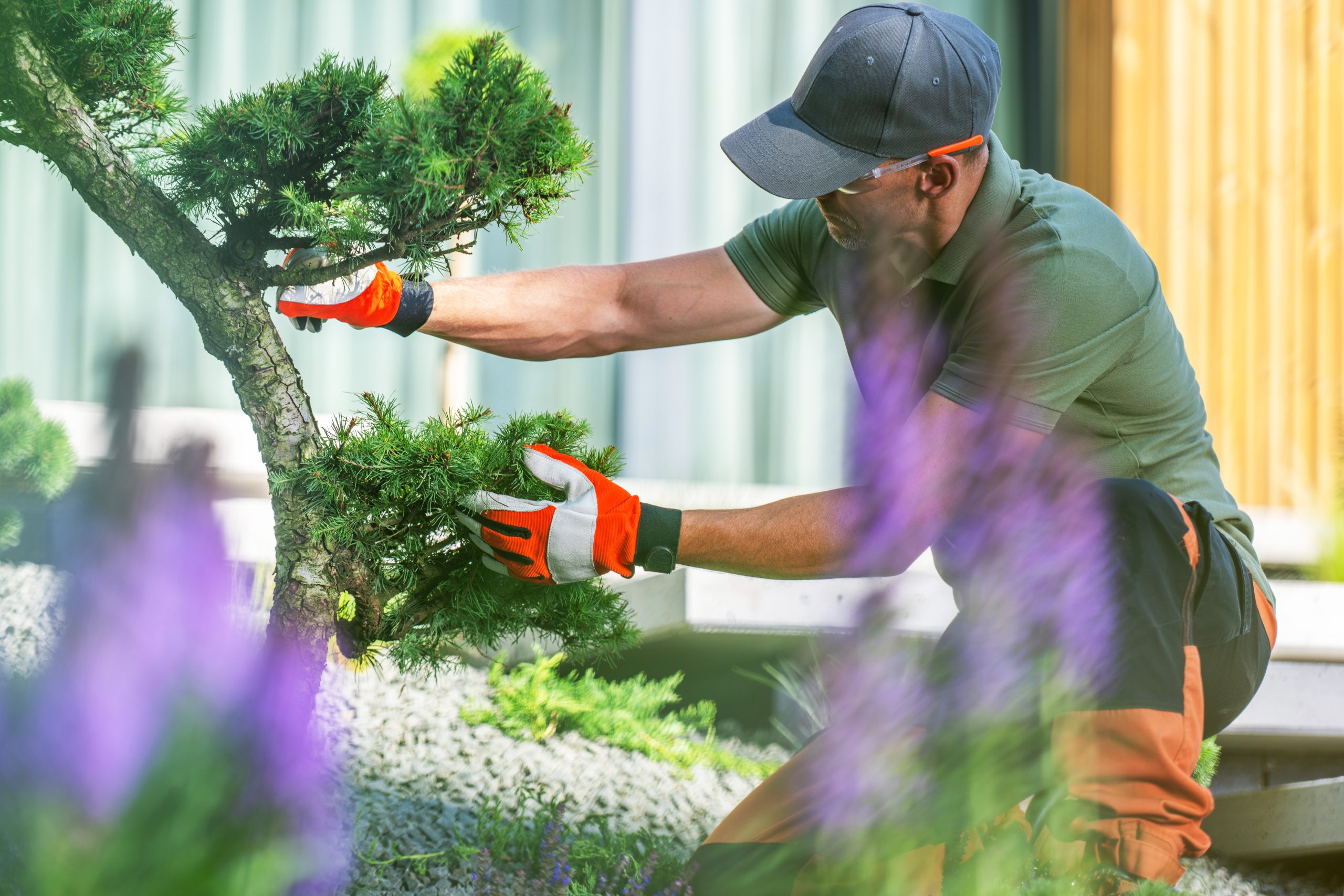 What Are the Benefits of Ongoing Property Maintenance During Ontario’s Peak Growing Season?