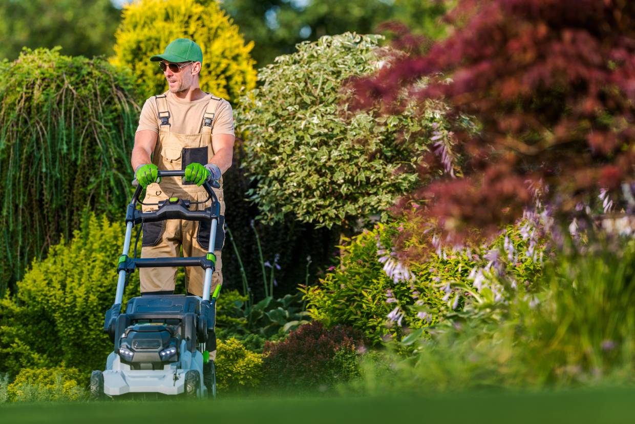 How Does Professional Landscape Maintenance Prevent Mid-Summer Property Decline?