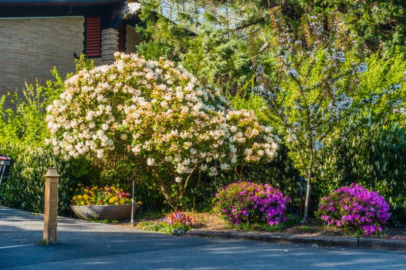 How Do Professional Landscaping Companies Prepare Ontario Properties for Seasonal Changes?